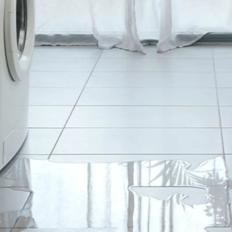 Appliance Leak Cleanup in Escalon, CA