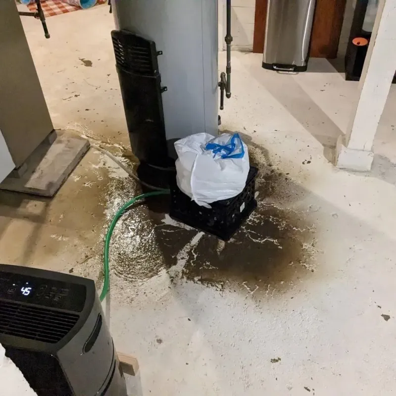 Sewage Backup Cleanup Service in Escalon, CA